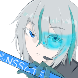 NSSCTF